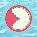 音乐视频免费下载极速版 